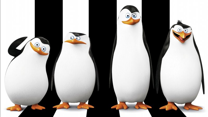 Penguins in a Line — White