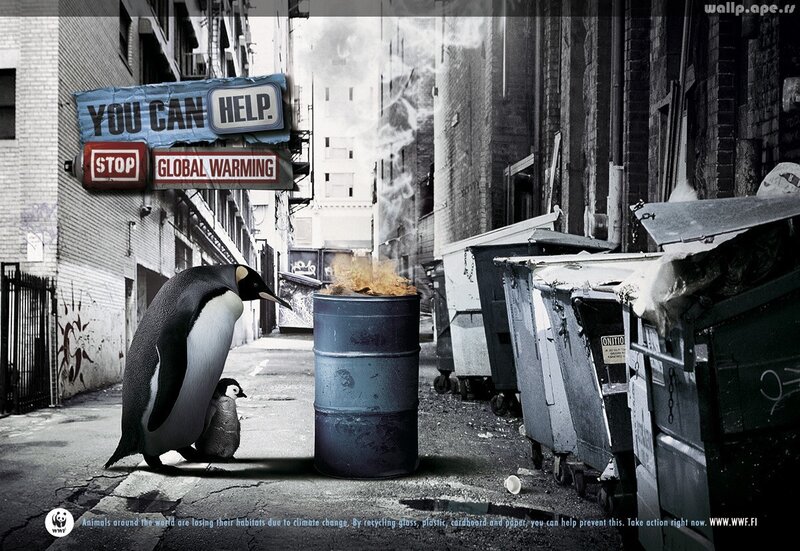 Penguins in a polluted alley