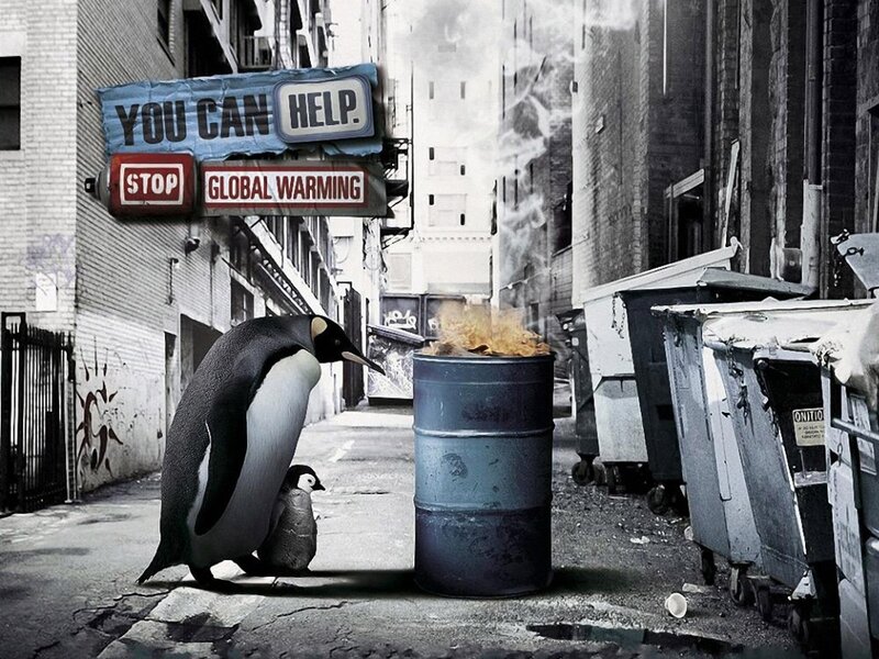 Penguins in a polluted alley