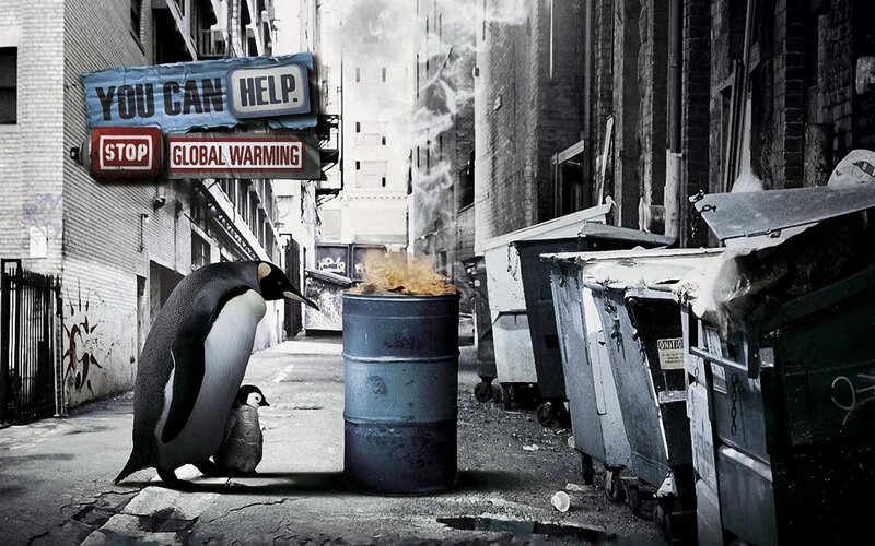 Penguins in a polluted alley