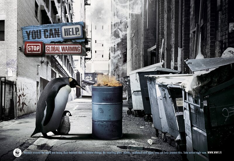 Penguins in a polluted alley