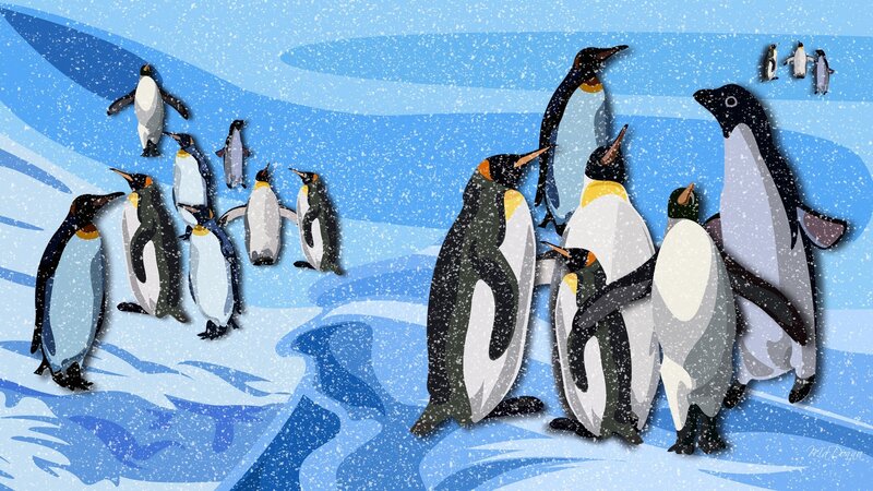 Penguins in a snowy landscape