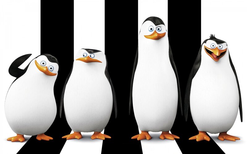 Penguins in Black and White