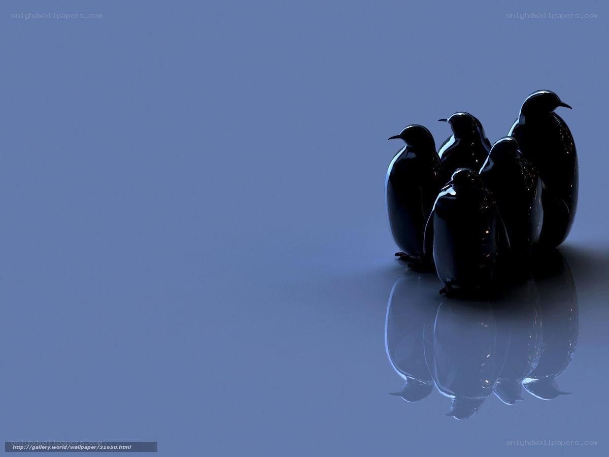 Penguins in blue light