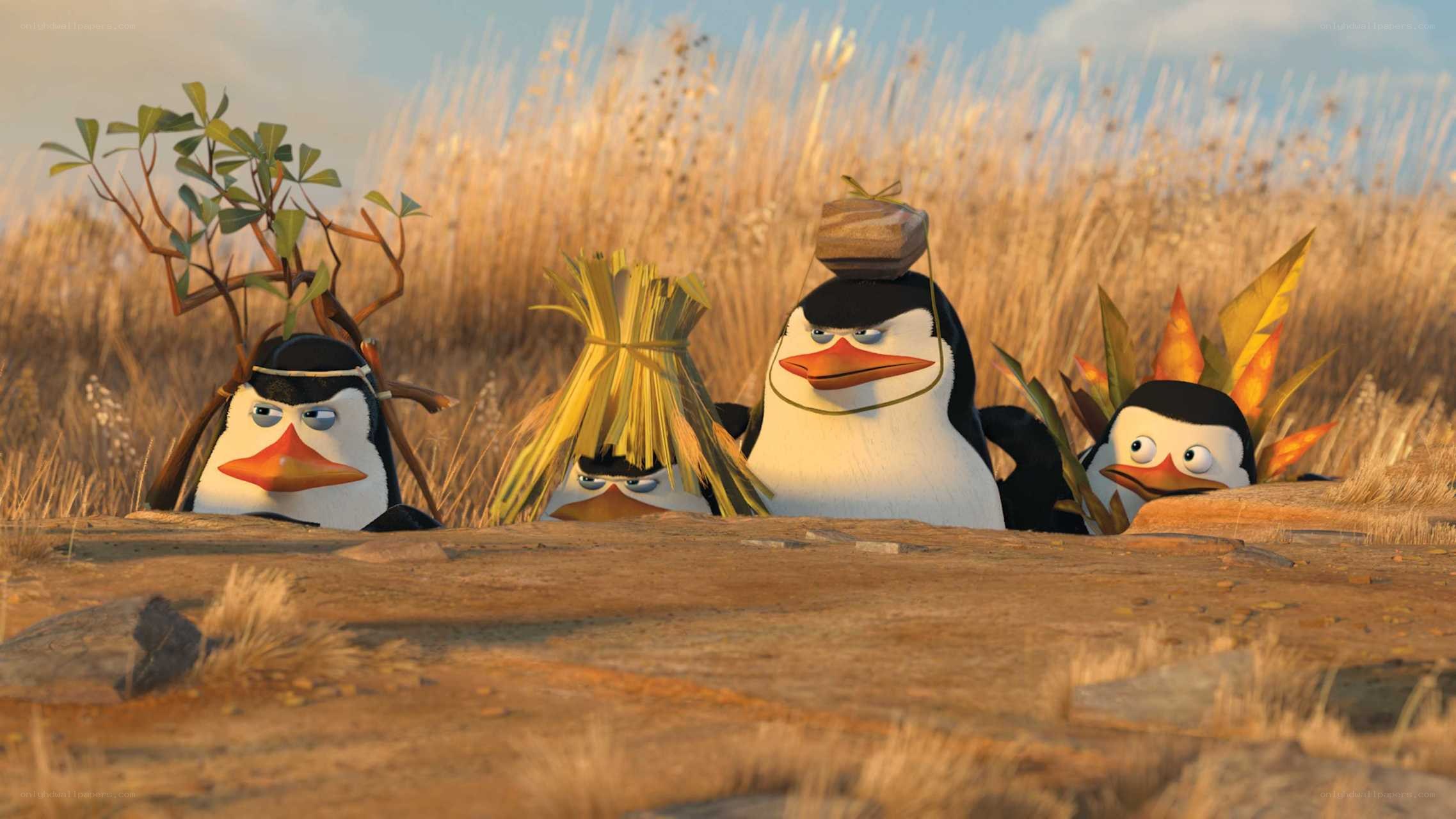 Penguins in disguise
