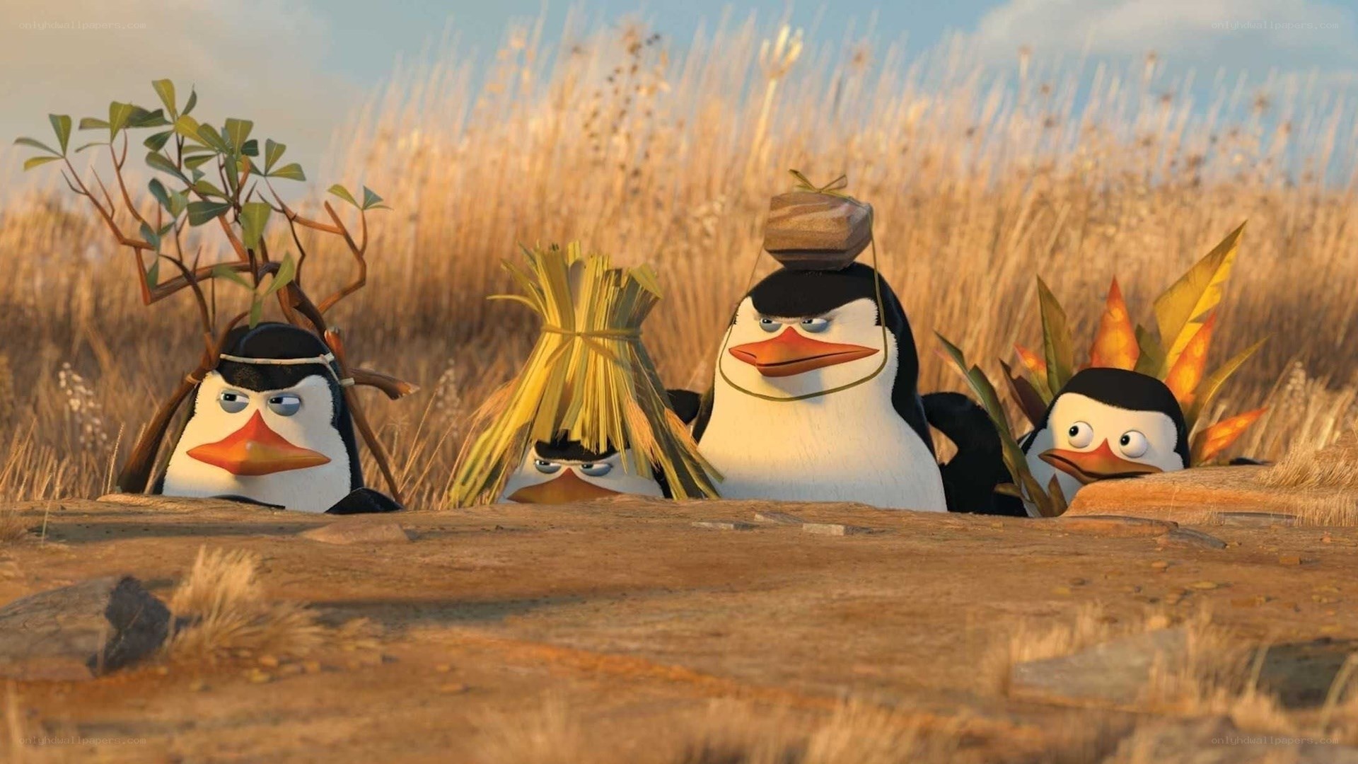 Penguins in disguise
