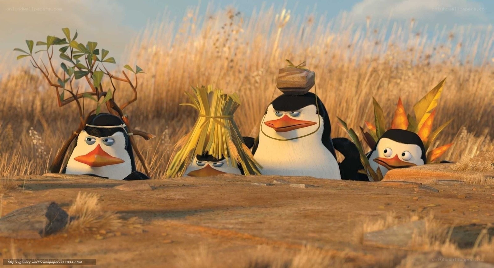penguins in disguise