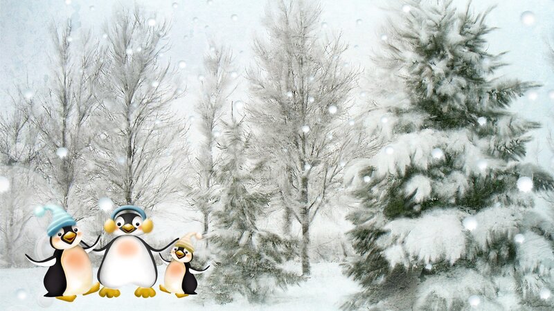 Penguins in Snow