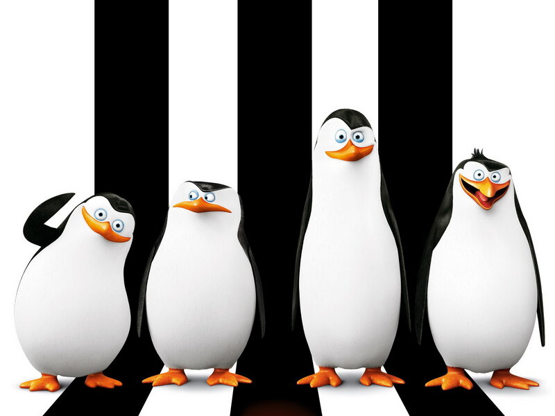 Penguins in Stripes