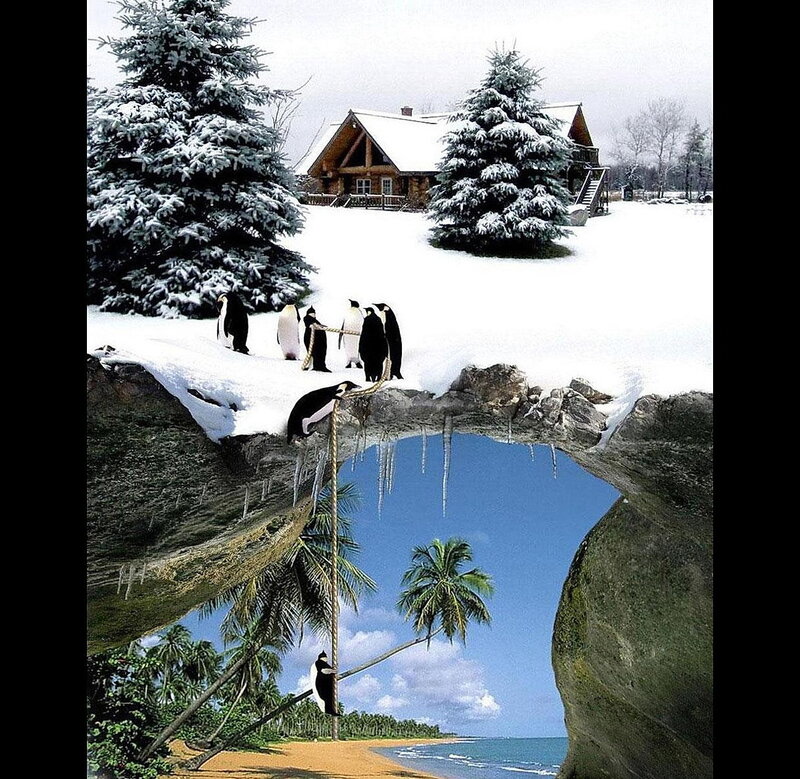 penguins in winter and tropical beach