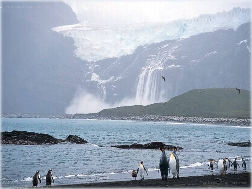 Penguins near a glacier