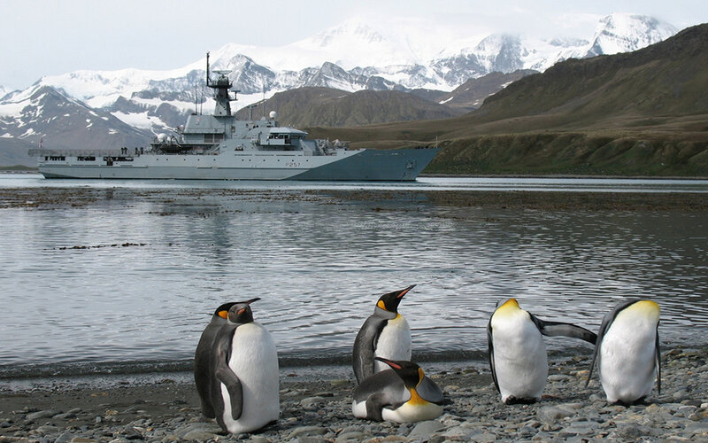 Penguins near a ship in Antarctica