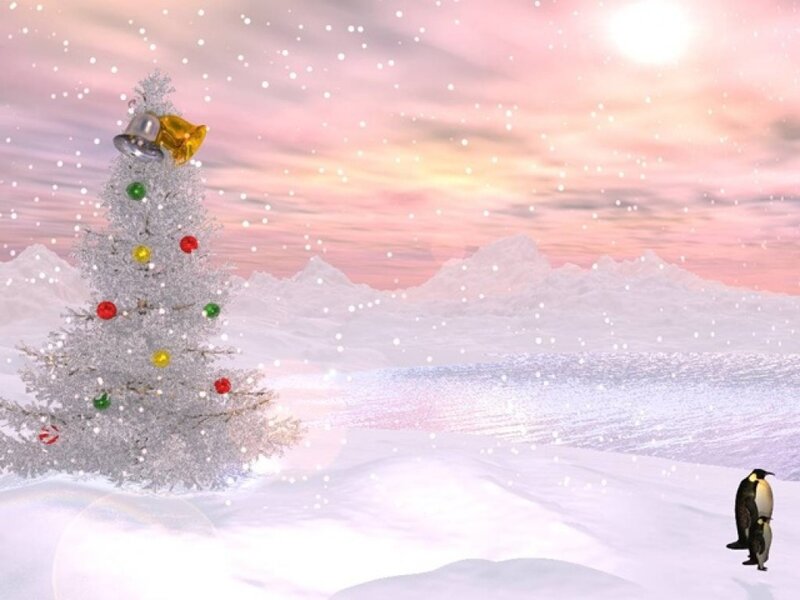 Penguins Near Christmas Tree