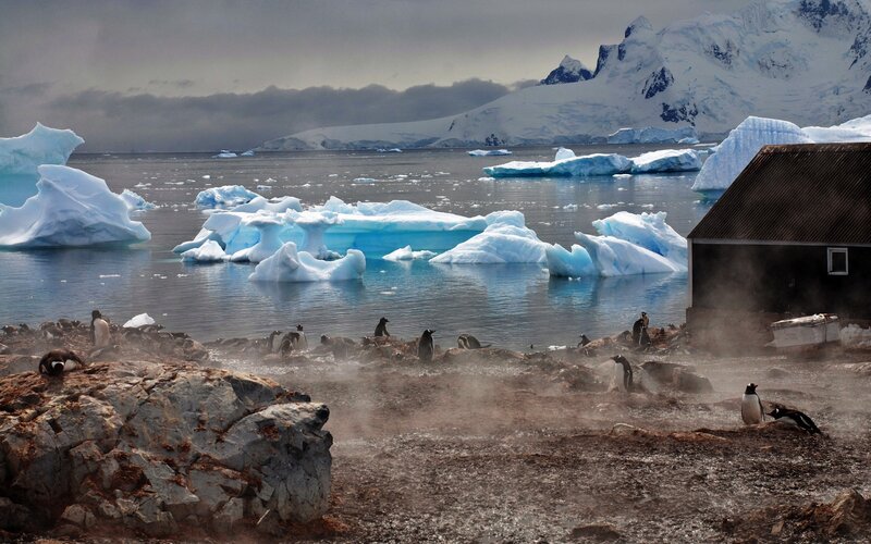 Penguins near icebergs in Antarctica