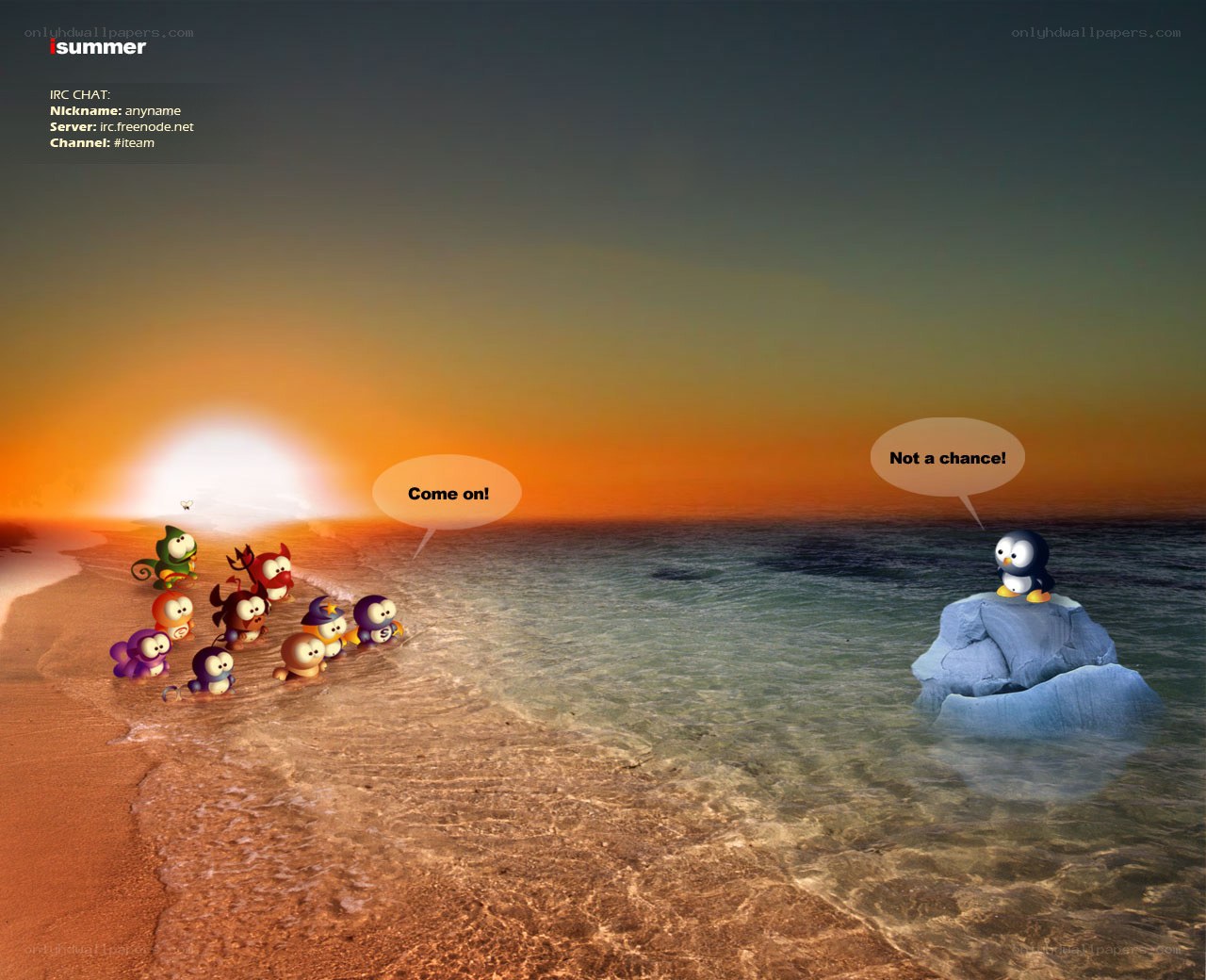 Penguins on a beach at sunset