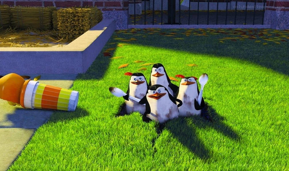 penguins on a lawn with spoons