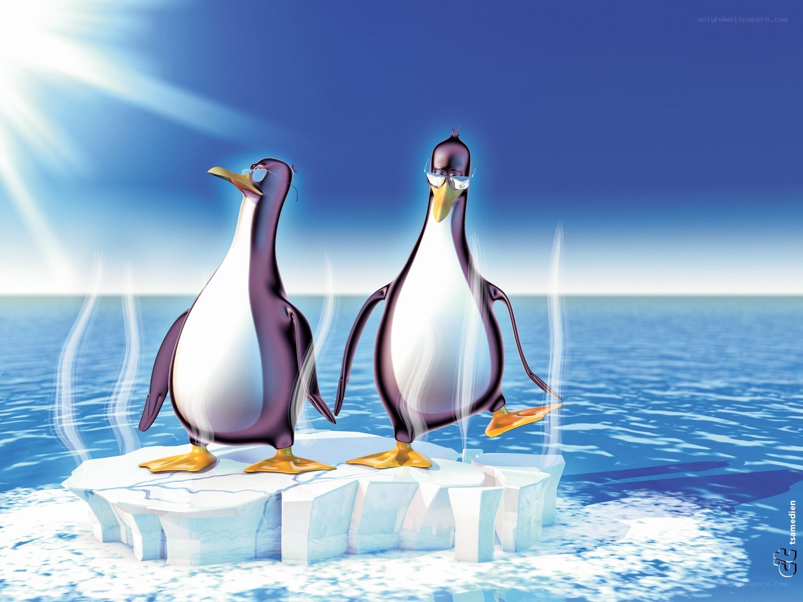 Penguins on a melting ice floe