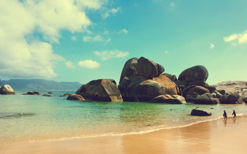 Penguins on a rocky beach