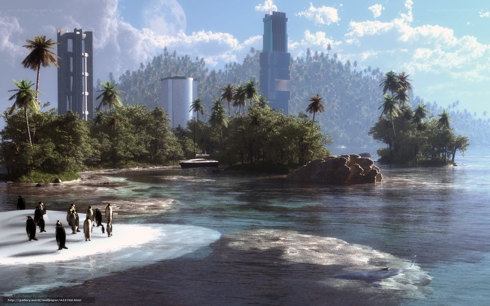 Penguins on a tropical island