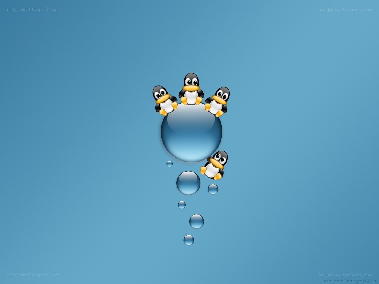 penguins on a water bubble