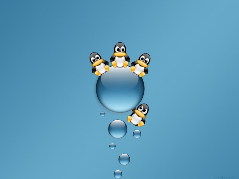 Penguins on a water bubble