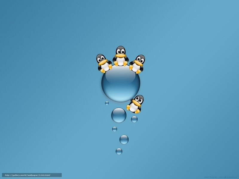 penguins on a water bubble
