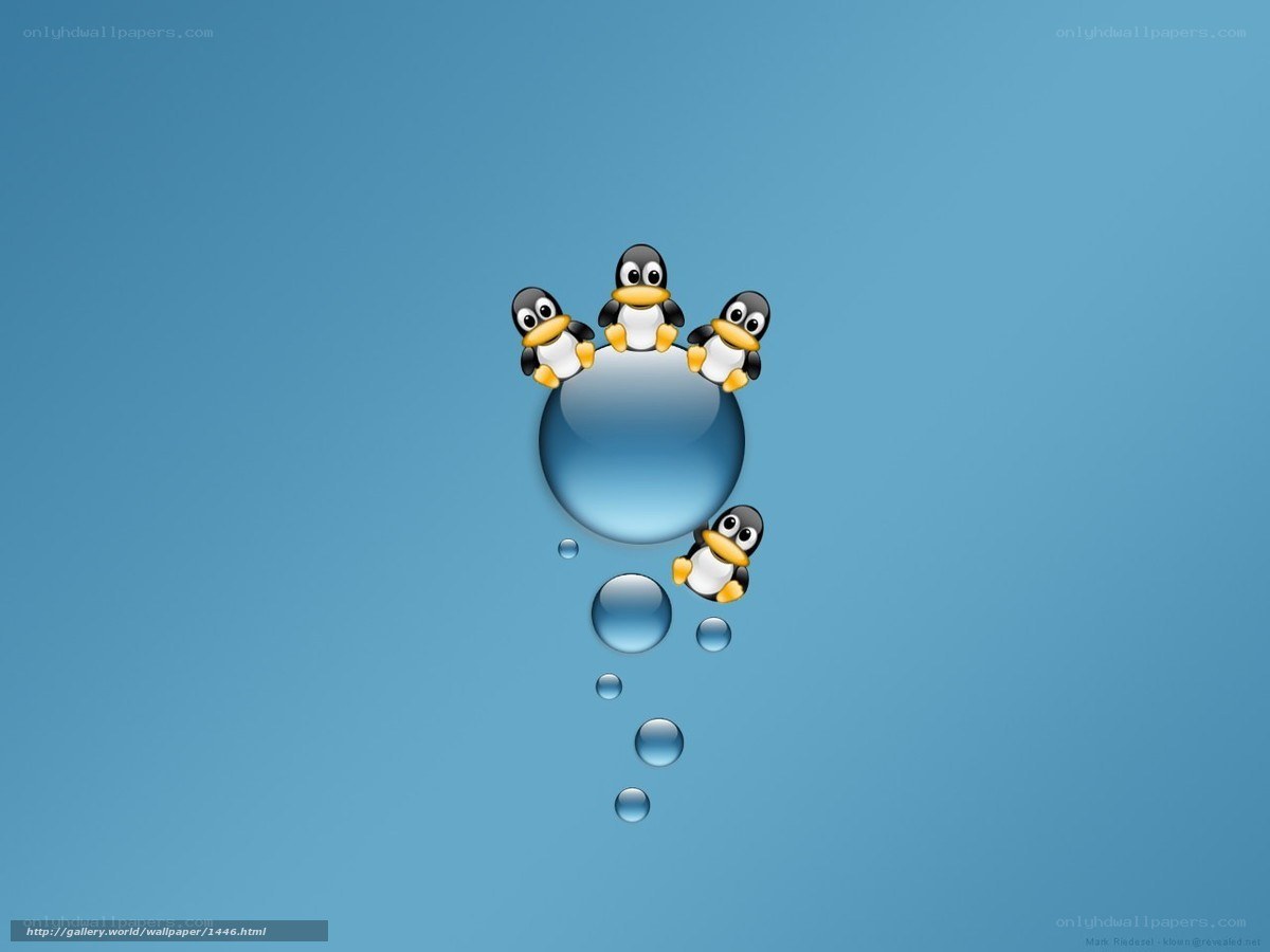 penguins on a water bubble