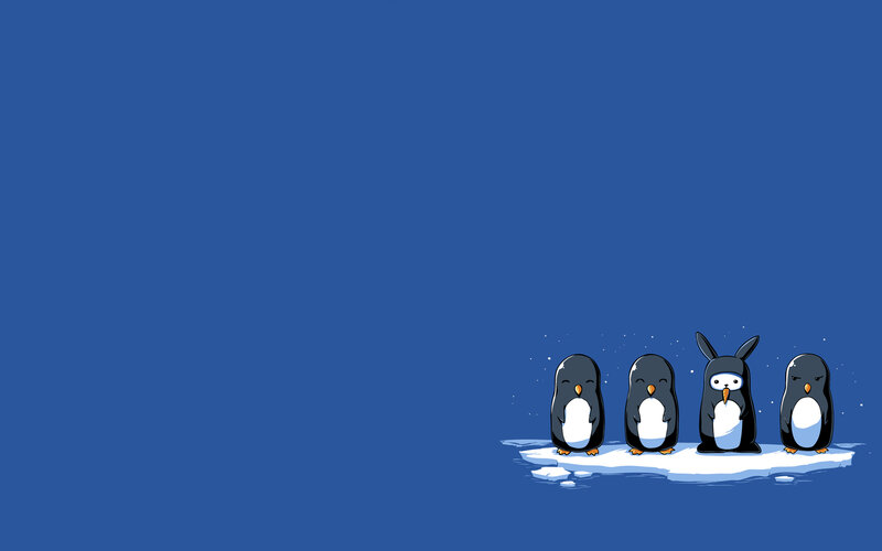 penguins on an ice floe