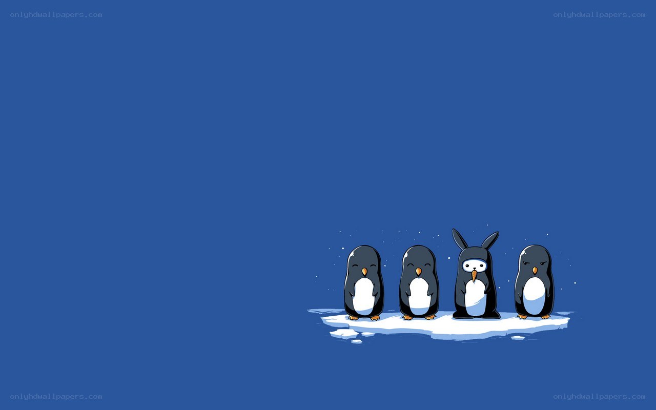 penguins on an ice floe