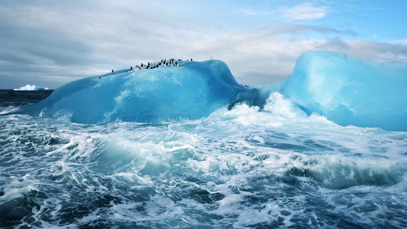 Penguins on an ice floe