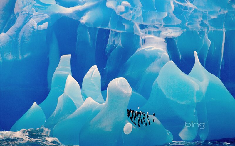 Penguins on an ice formation