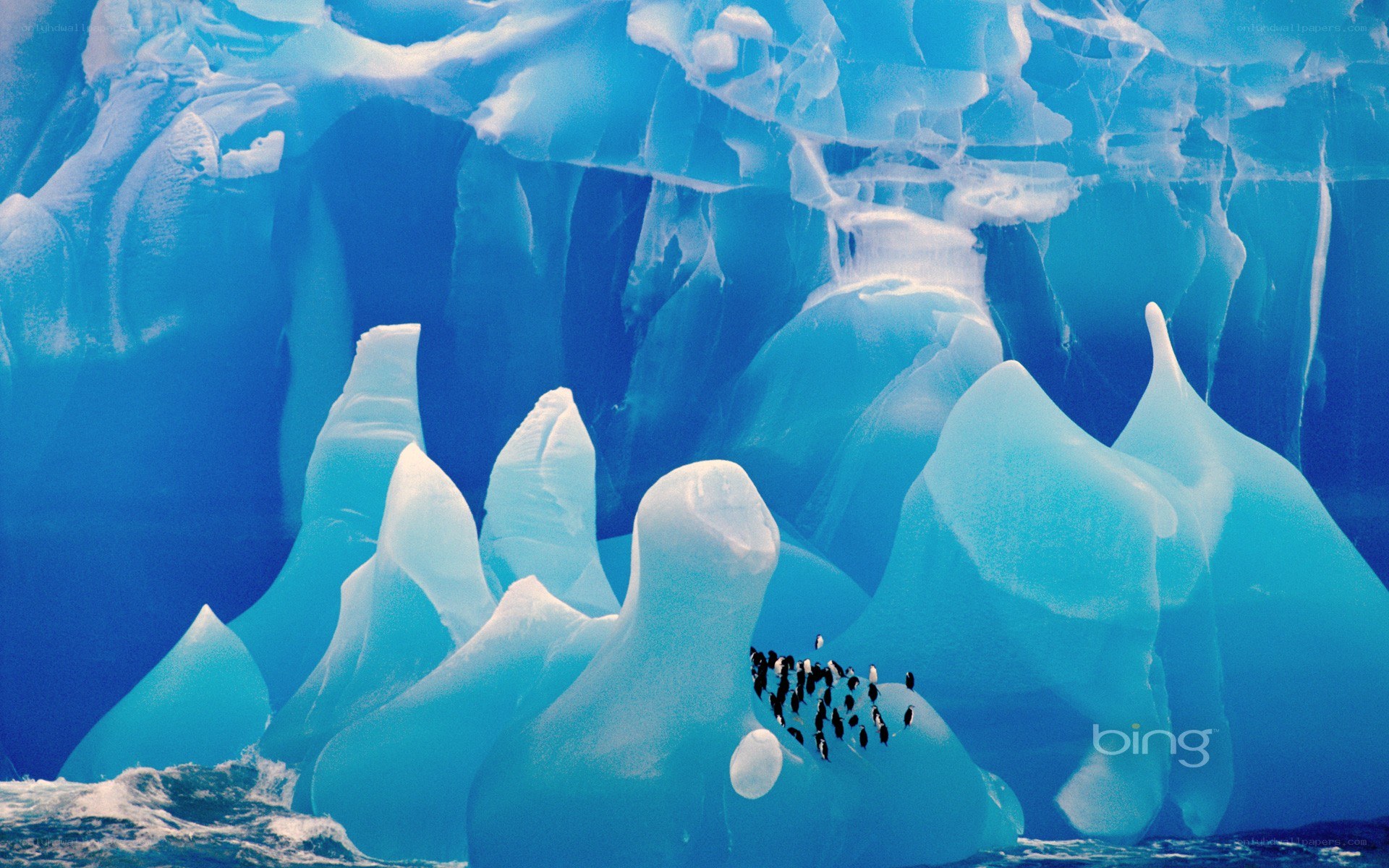 Penguins on an ice formation