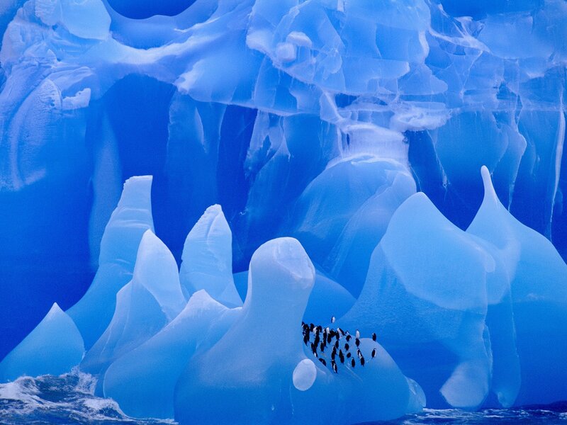 Penguins on an ice formation