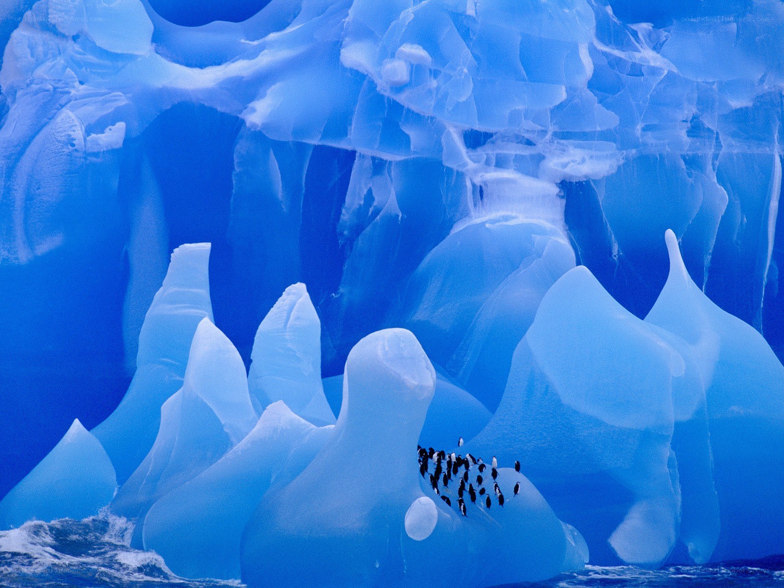 Penguins on an ice formation