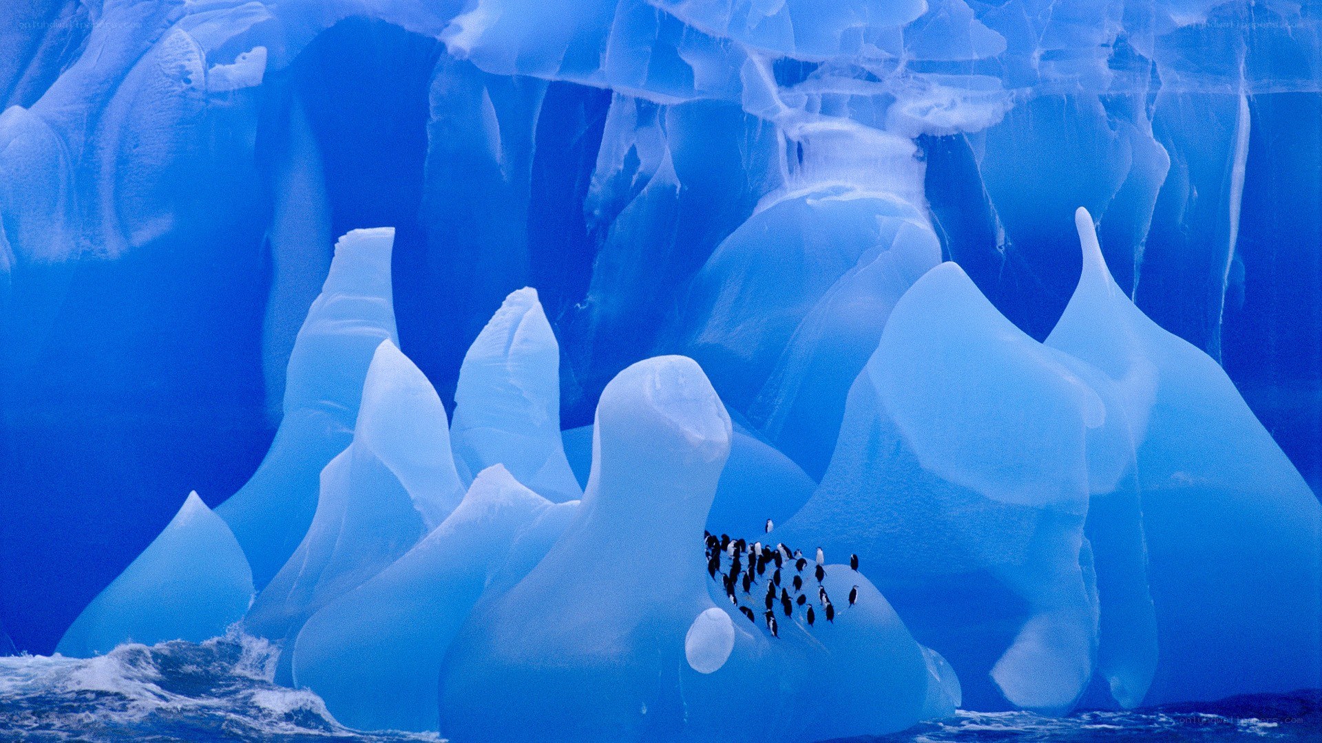 Penguins on an ice formation