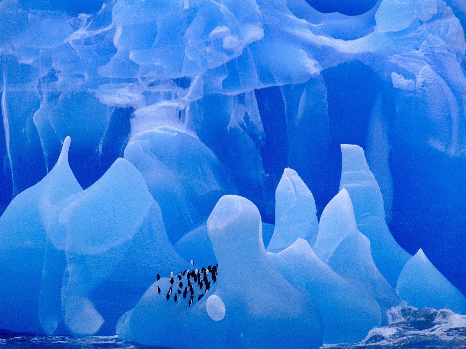 Penguins on an ice formation