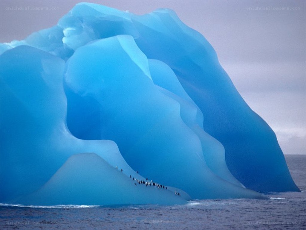 Penguins on an iceberg