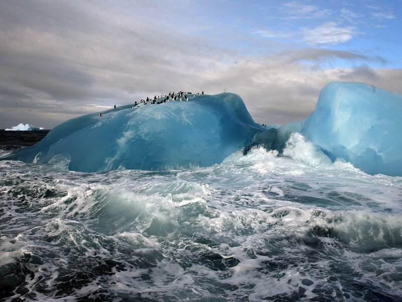 Penguins on an iceberg