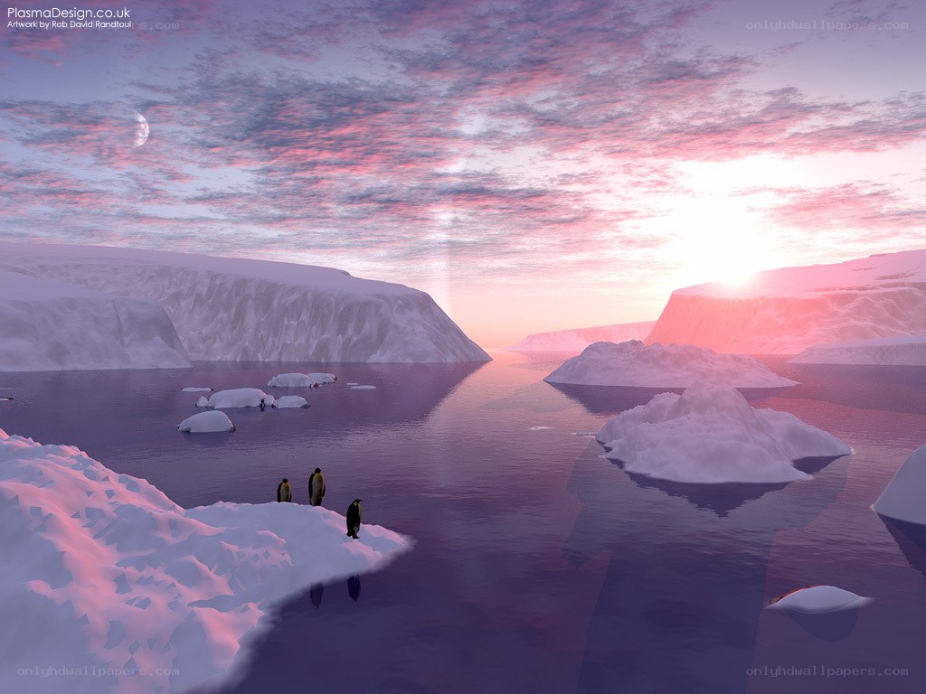 Penguins on an icy landscape