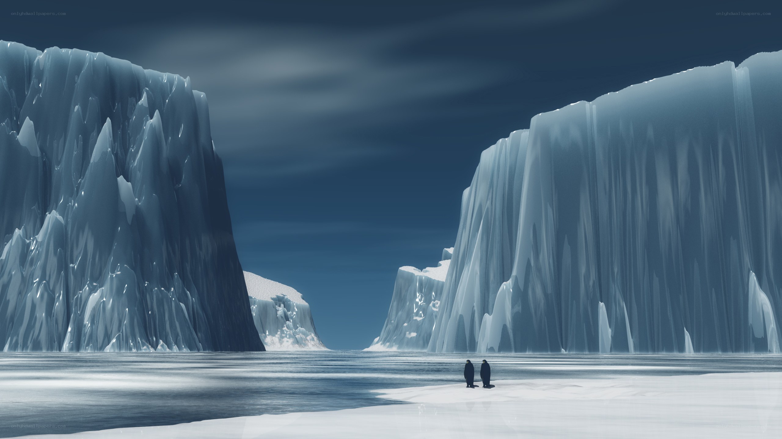 Penguins on an icy plain