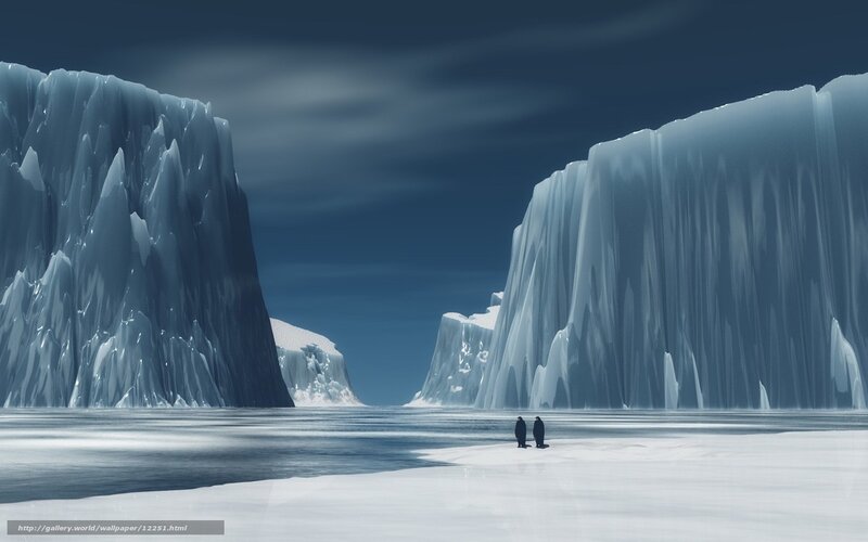 Penguins on an icy plain