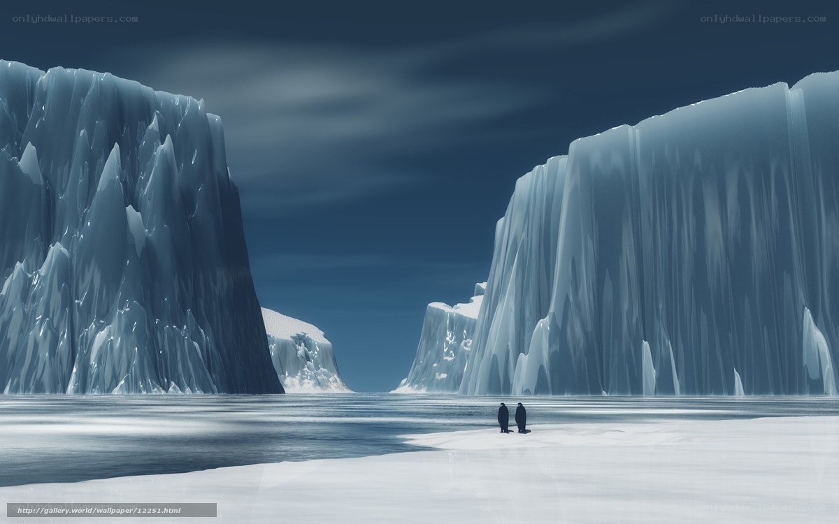 Penguins on an icy plain