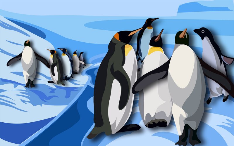 penguins on ice