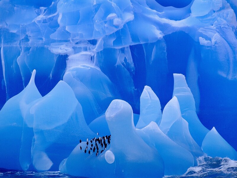 Penguins on Ice — Blue, Cold, Photograph, Water, Birds