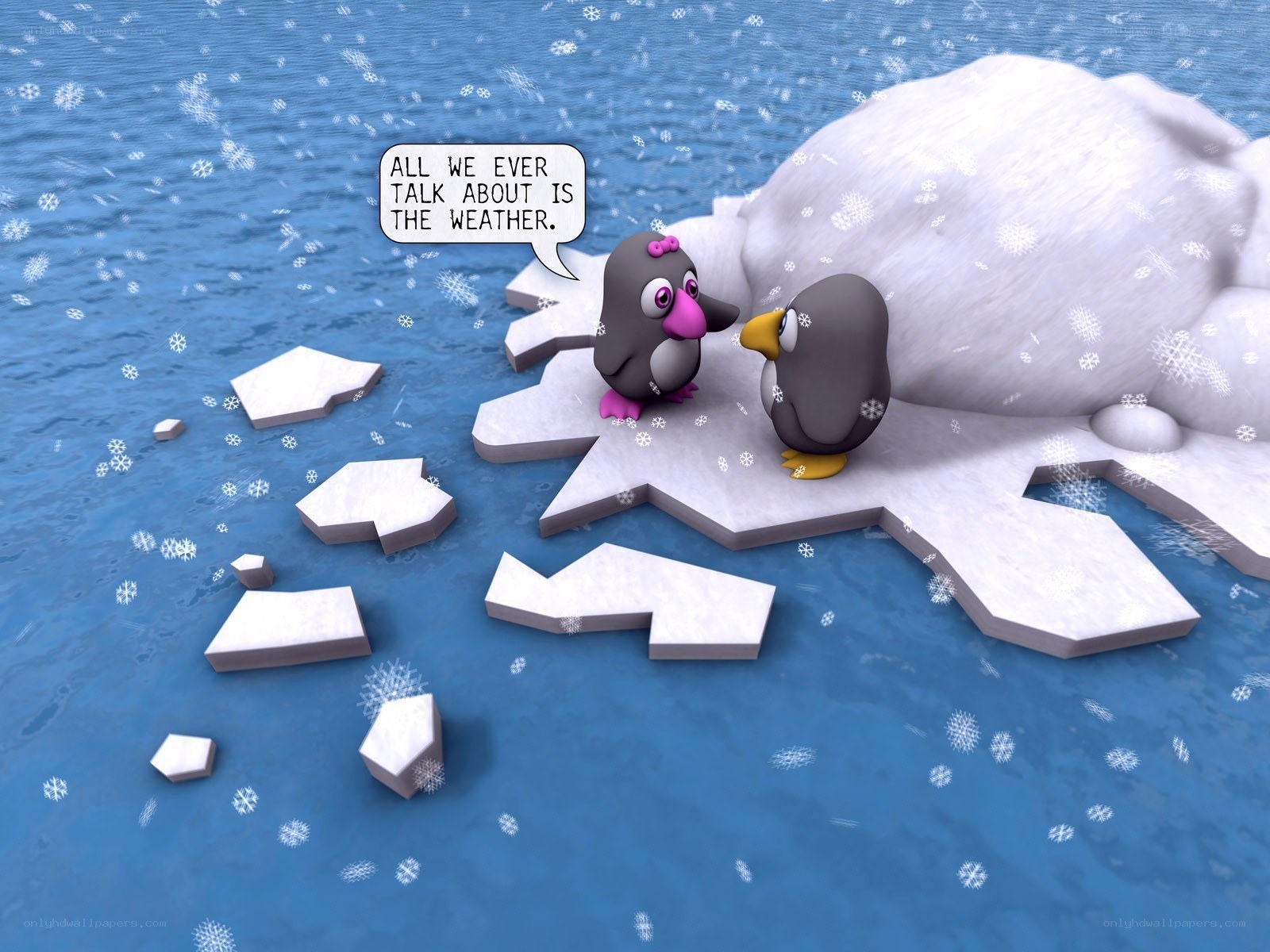 penguins on ice floe