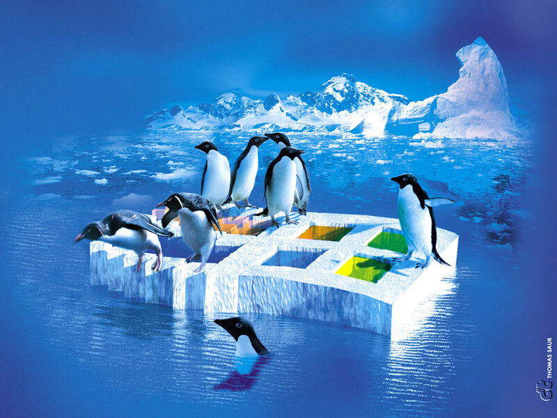 Penguins on Ice Floe — Blue, Cold