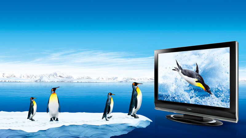 Penguins on Ice Floe — Blue, Serene, Winter