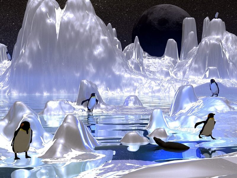 Penguins on Ice — White, Cold