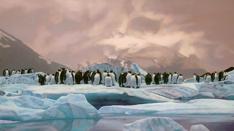 Penguins on Ice — White, Dramatic
