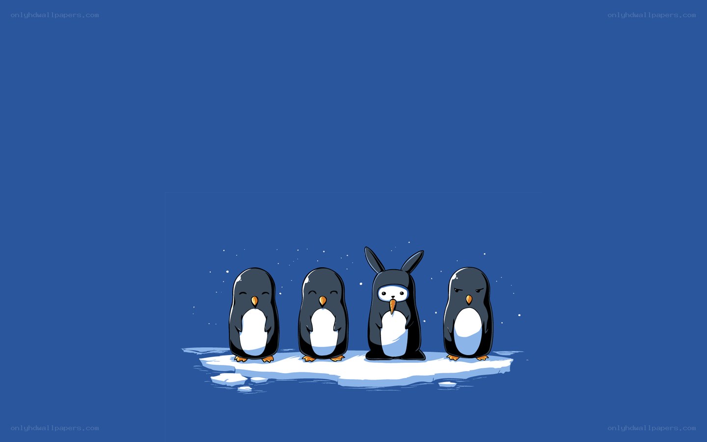 penguins on ice with one bunny